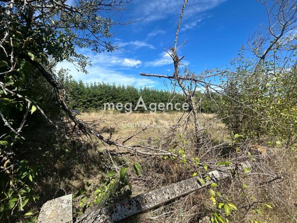 Terrain à SAINT-GALMIER, 42330 - 642m²