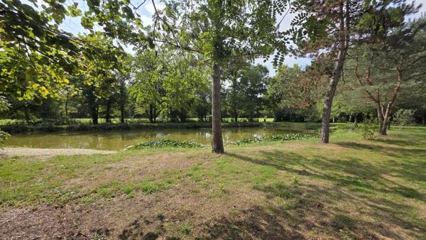 Vente                                                      Maison
                        
                     6 pièces                      154 m2                     à Argent-sur-Sauldre