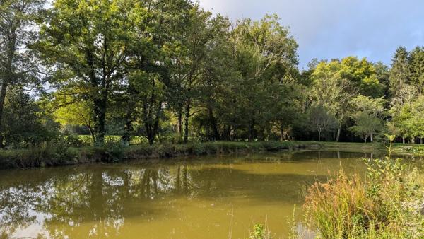 Vente                                                      Maison
                        
                     6 pièces                      154 m2                     à Argent-sur-Sauldre
