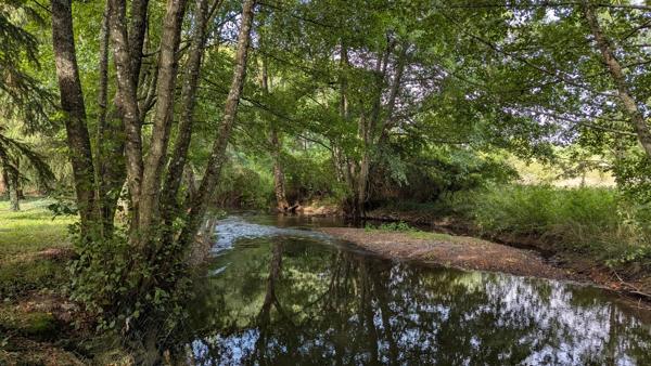 Vente                                                      Maison
                        
                     6 pièces                      154 m2                     à Argent-sur-Sauldre