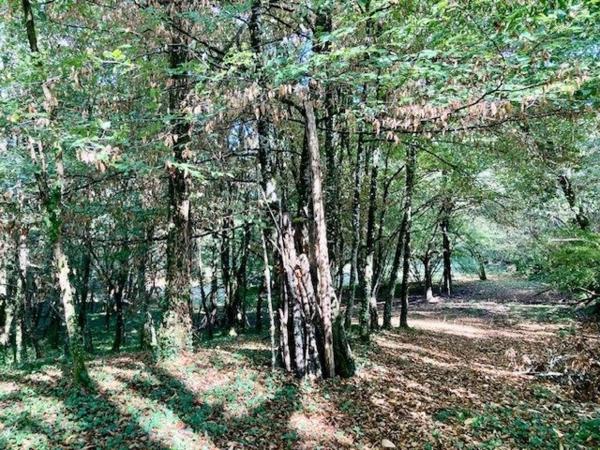 MAISON A RENOVER SUR TERRAIN DE 13960 m2