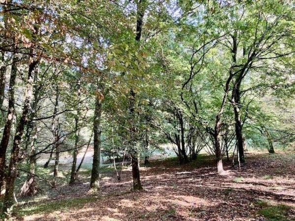 MAISON A RENOVER SUR TERRAIN DE 13960 m2