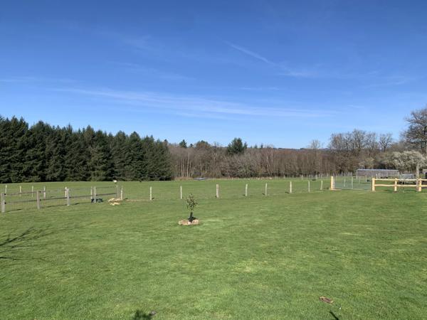 Bien rare à la campagne sur plus de 8 hectares