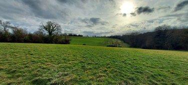 Propriété agricole à vendre à Nuillé-sur-Vicoin en Mayenne (53970), ref : 53034-67