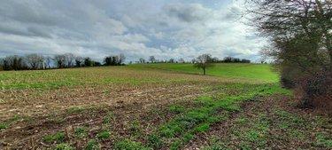 Propriété agricole à vendre à Nuillé-sur-Vicoin en Mayenne (53970), ref : 53034-67