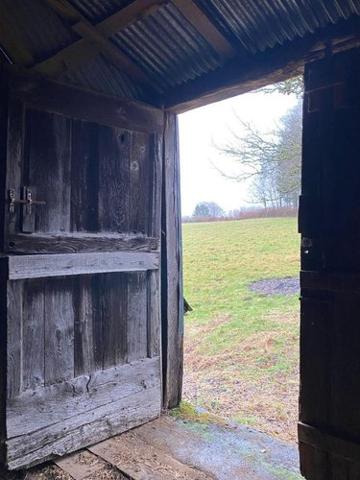 Divers à vendre à Pleaux dans le Cantal (15700), ref : 15060/1255