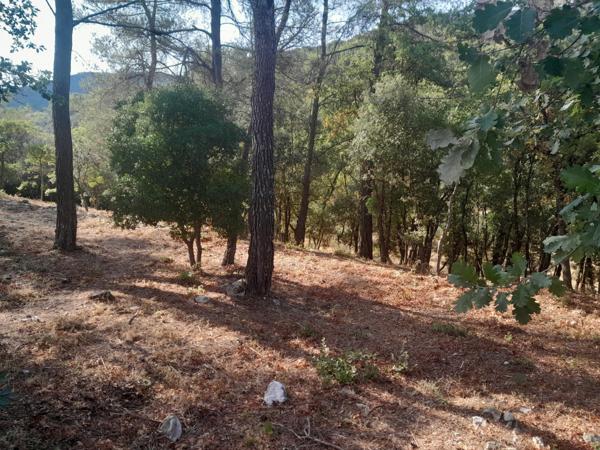 terrain constructible tout à l'égout