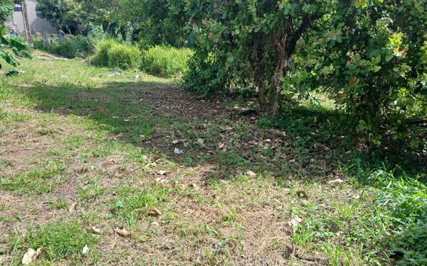 Terrain à vendre    Ducos