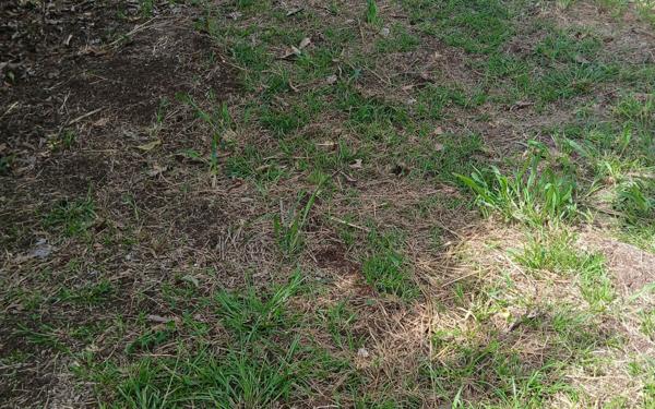 Terrain à vendre    Ducos