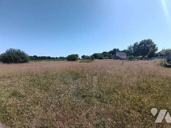 GRANGE EN PIERRE AVEC HANGAR
