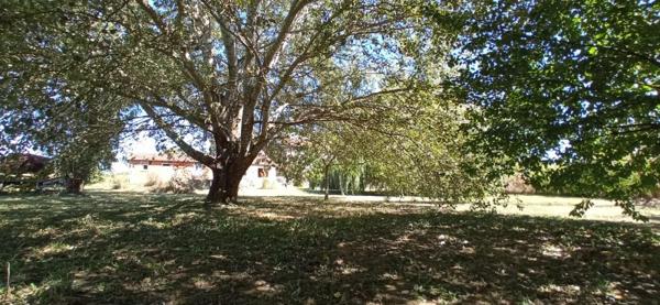 Vente / Maison et grand terrain à Marmande (47200)