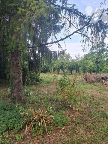 Maison composée d'une entrée, wc, salle de bain,
chaufferie avec chaudière gaz, couloir, salon...
