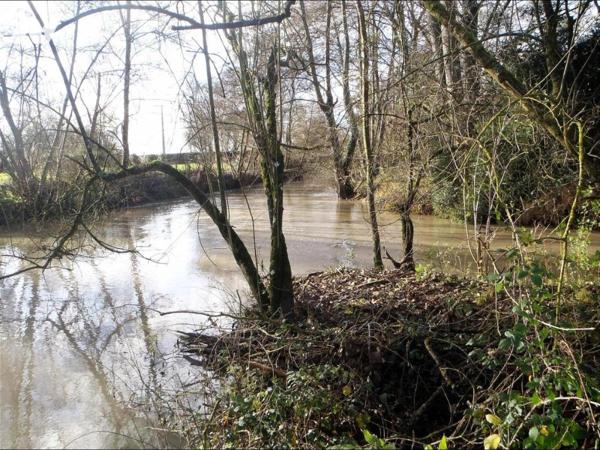 COUP DE PECHE A MARNAY- AZAY LE RIDEAU