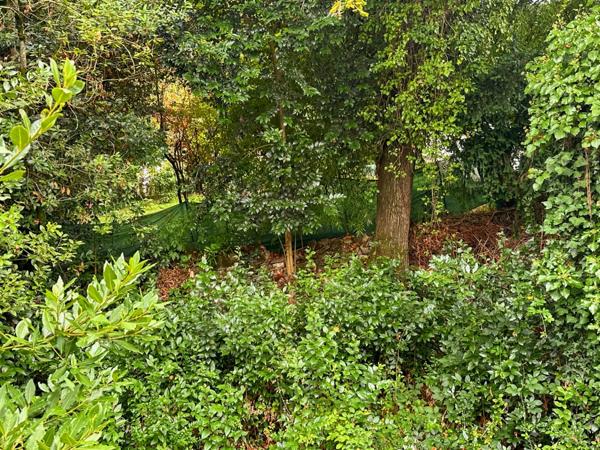 Maison à vendre 6 pièces EAUZE (32) - 140 m2 de surface habitable - Terrain 302 m2 - Possibilité de logements locatifs