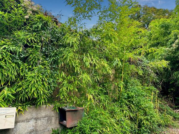 Maison à vendre 6 pièces EAUZE (32) - 140 m2 de surface habitable - Terrain 302 m2 - Possibilité de logements locatifs