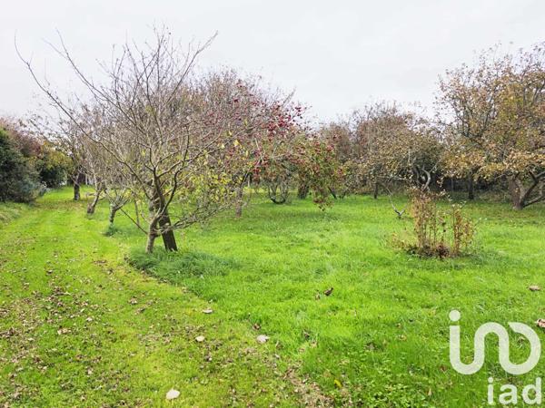 Maison à vendre 5 pièces 198 m² Siouville-Hague