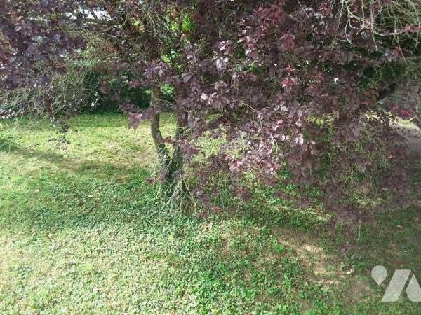 A 15 MNS DE BLOIS, PAVILLON DE BONNE CONSTRUCTION, TERRAIN 802 M²
PAVILLON SUR SOUS-SOL AVEC G...