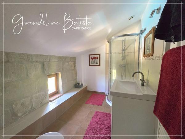 Propriété en Pierre 568m² - 2 Maisons d'habitation - 3 Gîtes - 2 Piscines sur 3,5 Ha de terrain