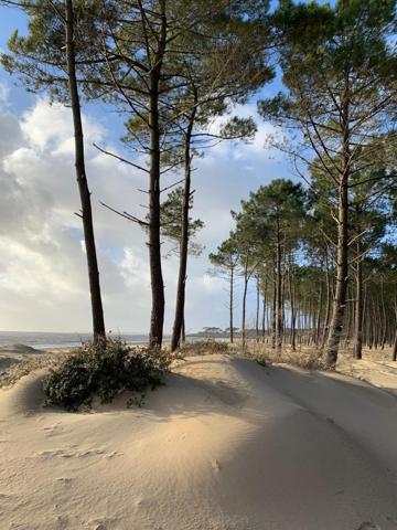 Belle opportunité terrain à bâtir