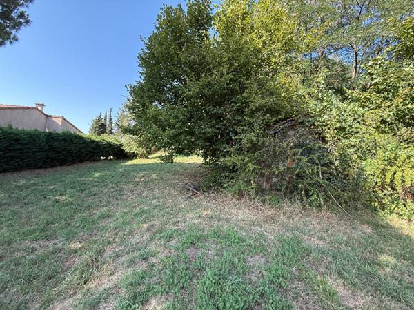 CARMAUX. Terrain de 3259 m²