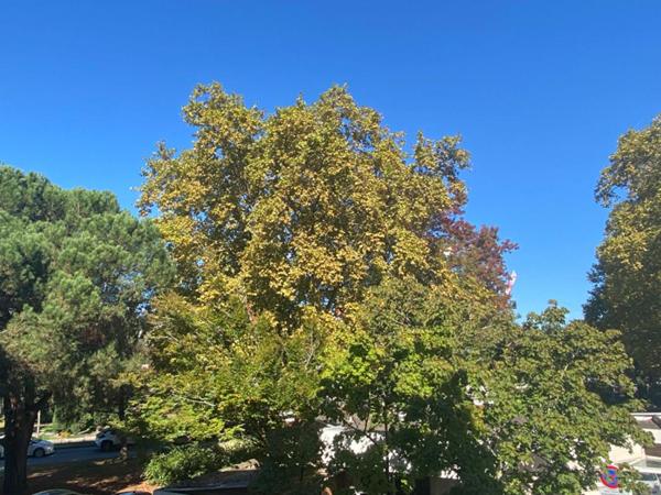 Appartement Mérignac 3 pièce(s) 80 m2