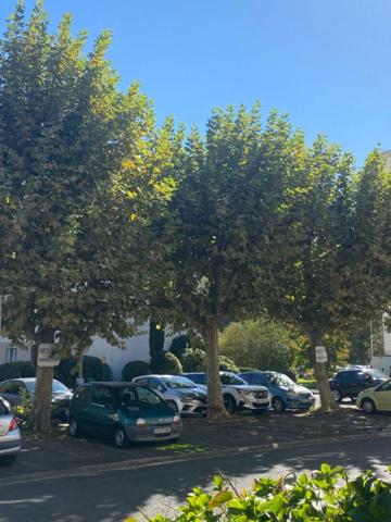 Appartement Mérignac 3 pièce(s) 80 m2