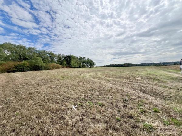 Vente                                                      Terrain
                        
                                         3450 m2                     à Saint-Germer-de-Fly