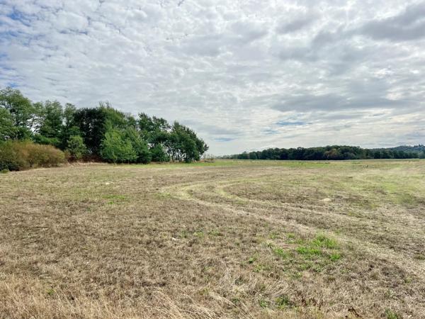 Vente                                                      Terrain
                        
                                         3450 m2                     à Saint-Germer-de-Fly