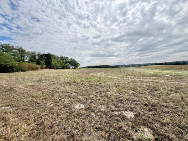 Vente                                                      Terrain
                        
                                         3450 m2                     à Saint-Germer-de-Fly