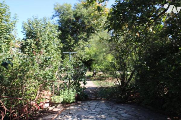 NIORT HYPER CENTRE, MAISON DE VILLE DE CHARME AVEC MAGNIFIQUE JARDIN CLOS DE MURS 