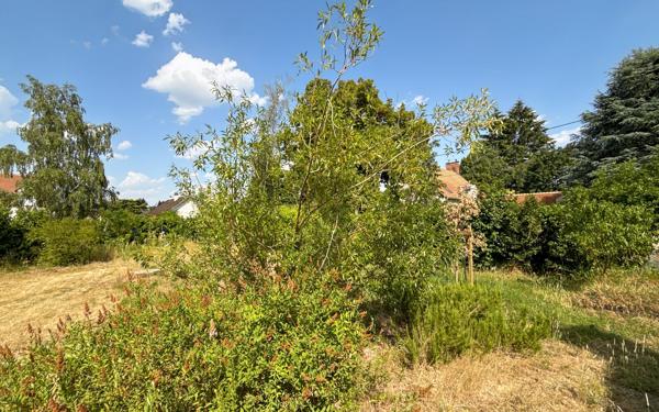Terrain à vendre