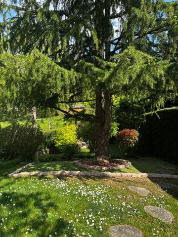 Yutz (57970) Maison 7 pièces 156 m²