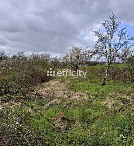 Terrain - 1810 m² Exclusivité