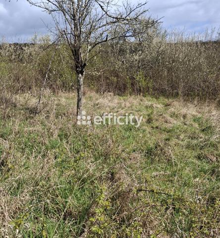 Terrain - 1810 m² Exclusivité