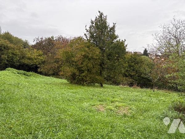 Terrain constructible à CHEMAUDIN ET VAUX (25320)