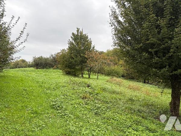 Terrain constructible à CHEMAUDIN ET VAUX (25320)