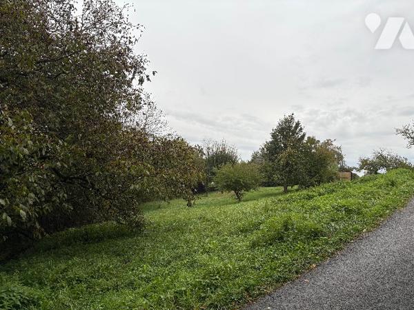 Terrain constructible à CHEMAUDIN ET VAUX (25320)