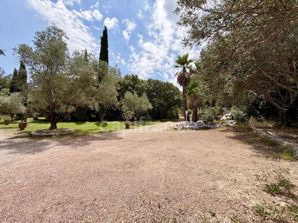 Rare sur le secteur de Castelnau