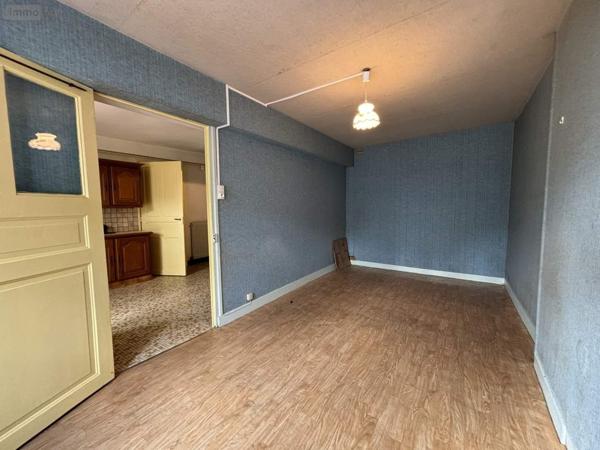 Maison à vendre à Neuillé-Pont-Pierre dans l'Indre-et-Loire (37360), ref : 37037/283AA