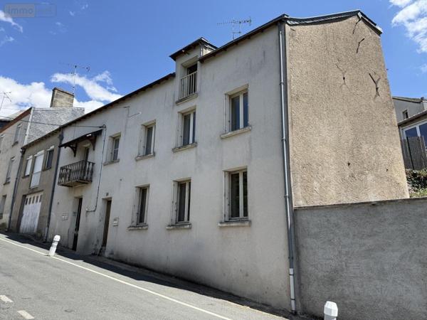 Immeuble à vendre à Chemillé-en-Anjou dans le Maine-et-Loire (49120), ref : 49058-1513