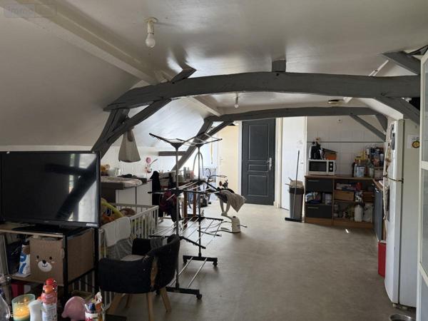 Immeuble à vendre à Chemillé-en-Anjou dans le Maine-et-Loire (49120), ref : 49058-1513