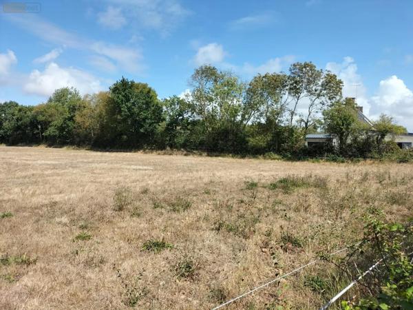 Achat - Terrain à bâtir Gouville-sur-Mer 50200 848 m 2