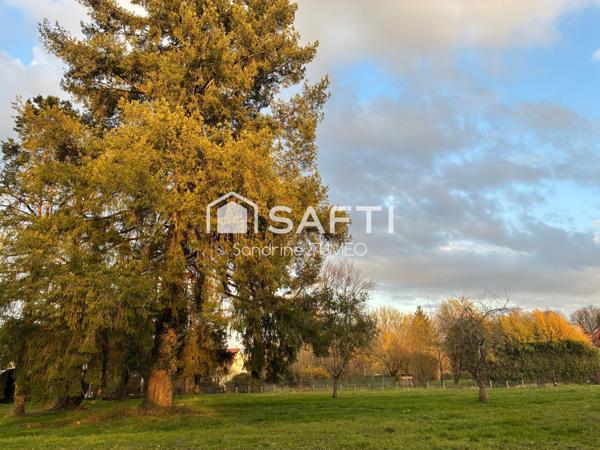 Terrain plat et arboré au calme