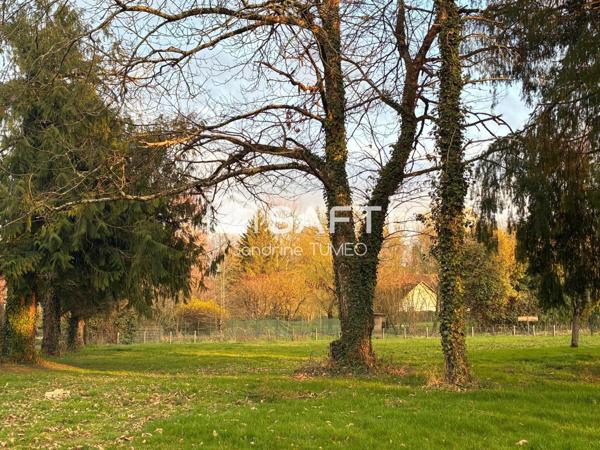 Terrain plat et arboré au calme