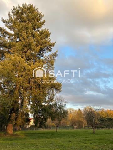 Terrain plat et arboré au calme