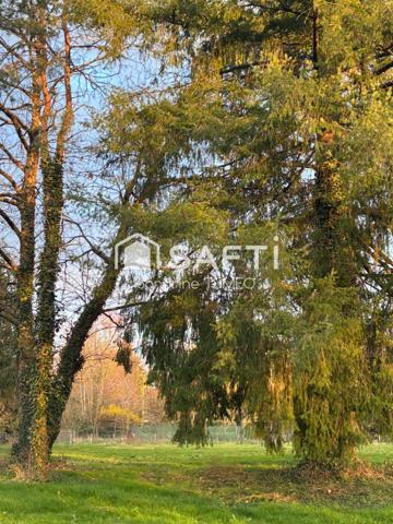 Terrain plat et arboré au calme