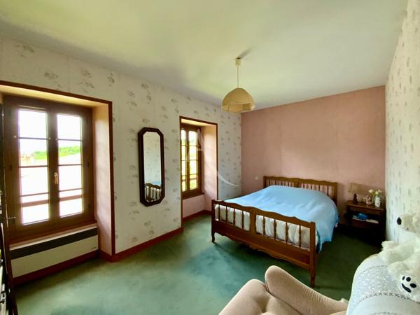 Grande maison à 10 minutes de Mirambeau + dépendances + petit étang