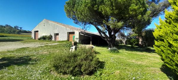 Grande maison à 10 minutes de Mirambeau + dépendances + petit étang