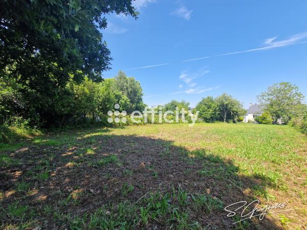 Terrain
        
        - 970 m² 33 220 € *