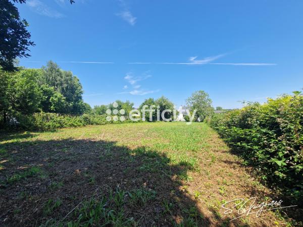 Terrain
        
        - 970 m² 33 220 € *